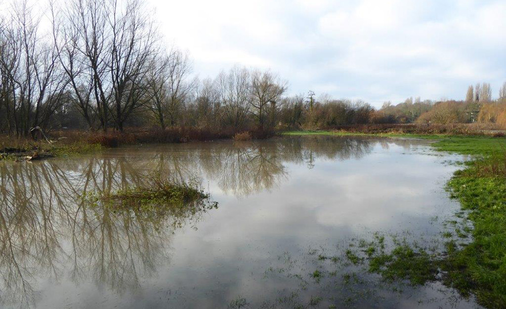Bingley Flood